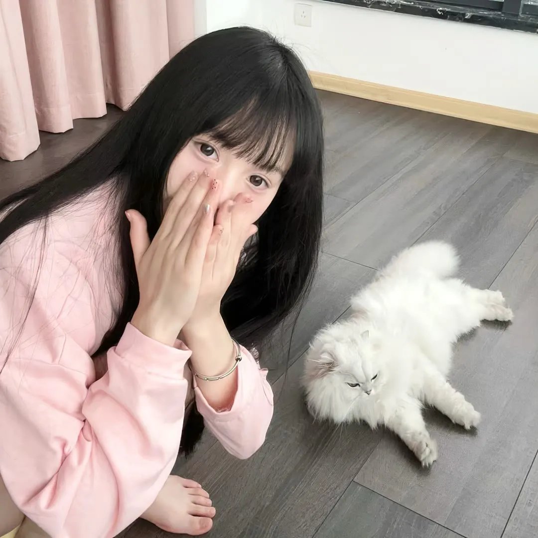 577计划