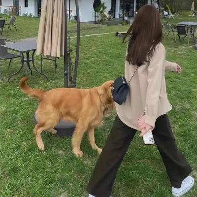 艳舞惊魂